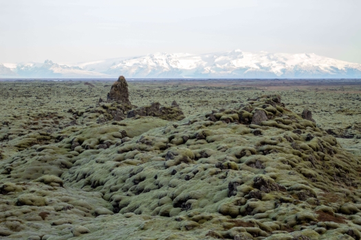 A moss covered lava field with glacier in the background.